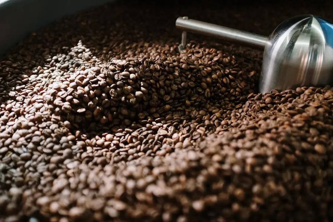 Soya Bean